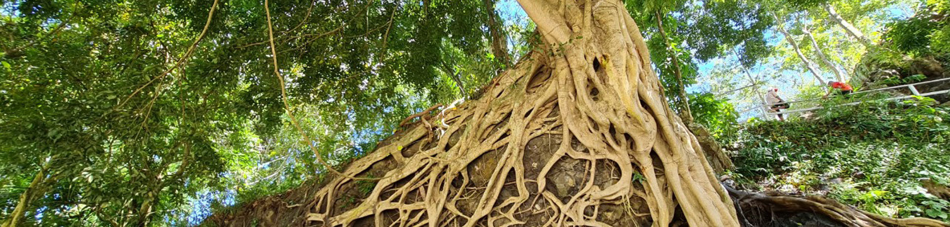 Du lịch Tây Nguyên